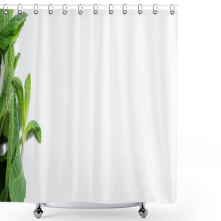 Personality  Panoramic Concept Of Green Peppermint Isolated On White  Shower Curtains