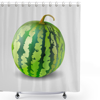Personality  Vector Illustration Of A Watermelon. Shower Curtains
