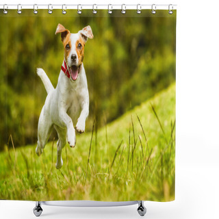 Personality  Jack Russell Parson Terrier Dog Shower Curtains