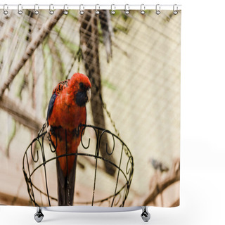 Personality  Red Parrot Sitting On Metallic Cage In Zoo Shower Curtains