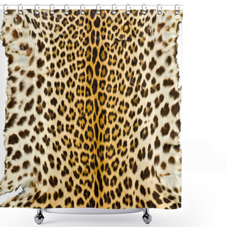Personality  Closeup Real Tiger Fur Shower Curtains