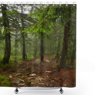 Personality  Misty Pine Forest On The Mountain Slope In A Nature Reserve Shower Curtains