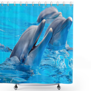 Personality  Three Beautiful And Funny Dolphins Shower Curtains