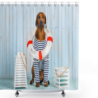 Personality  Shy Rhodesian Ridgeback Dog-sailor With Lifebuoy Around Neck Shower Curtains