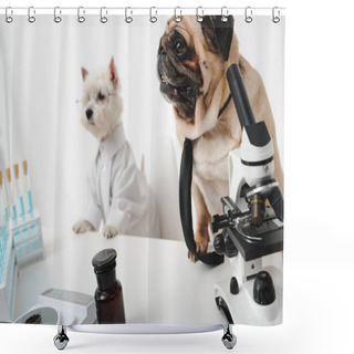Personality  Dogs Scientists In Lab Shower Curtains