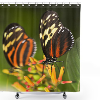 Personality  Large Tiger Butterflies Shower Curtains