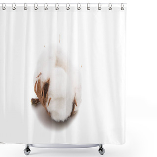 Personality  Fluffy Cotton Ball Of Cotton Plant  Shower Curtains