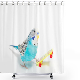Personality  Sky Blue  Wavy Parrot With Plastic Toy Skateboard  On Color Background  Shower Curtains