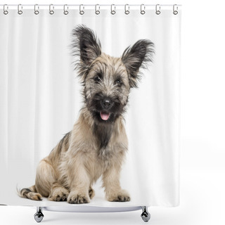 Personality  Skye Terrier Dog Sitting Isolated On White Shower Curtains