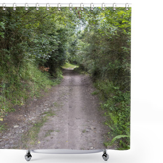 Personality  Forest Trail Scene. Forest Path On The Camino De Santiago Shower Curtains