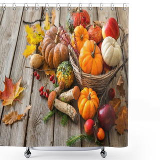 Personality  Autumn Still Life With Pumpkins, Corncobs, Fruits And Leaves Shower Curtains