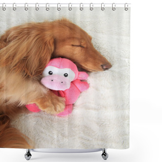 Personality  Sleeping Dog Shower Curtains
