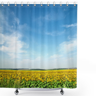 Personality  Sunflower Field Over Blue Sky Shower Curtains