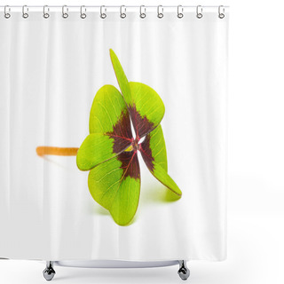 Personality  Lucky Clover Leaf Shower Curtains