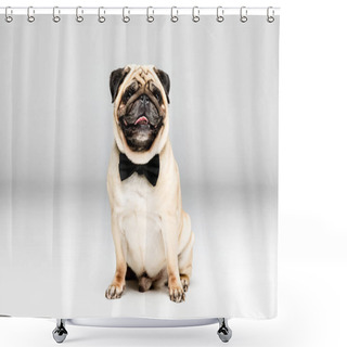 Personality  Pug Dog In Bow Tie Shower Curtains