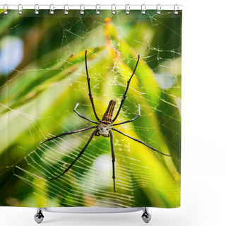 Personality  Female Golden Web Spider (Nephila Pilipes), Bali, Indonesia. Shower Curtains