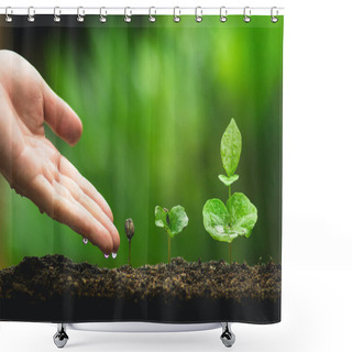 Personality  Young Hands Plant Coffee Tree Save World Concept Shower Curtains