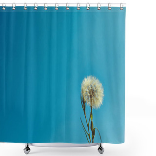 Personality  Dandelion Field Fluffy Dandelion Part Of A Meadow, In The Background. Shower Curtains