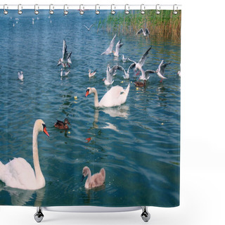 Personality  Many Birds In The Waters Of Lake Powidz In Poland. Shower Curtains