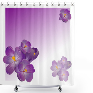 Personality  Purple Spring Flowers With Green Leaves Of Clover Shower Curtains