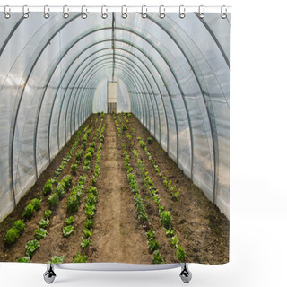 Personality  The Hydroponics In Greenhouses. Shower Curtains