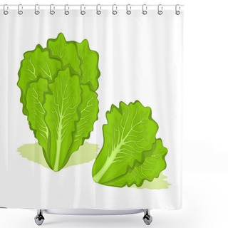 Personality  Fresh Lettuce Vegetables Vector Design. Organic Food For Healthy Shower Curtains