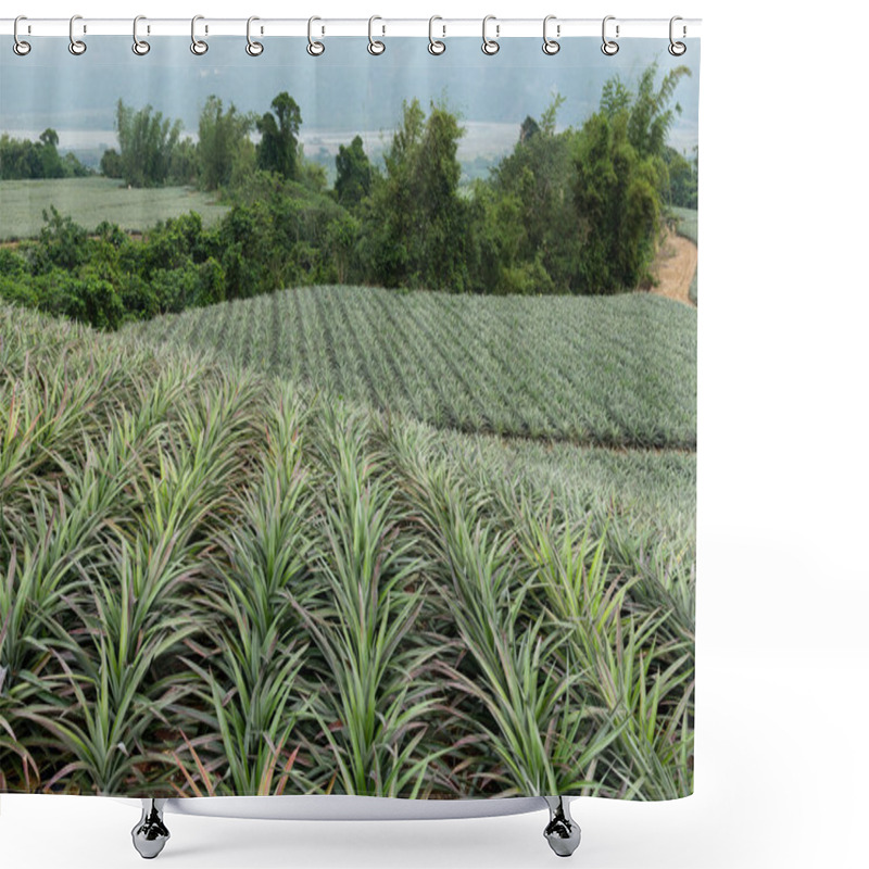 Personality  Pineapples Fruits Farm In TaiTung Shower Curtains
