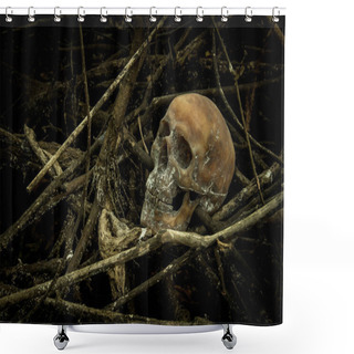 Personality  Still Life With A Skull In Forest Shower Curtains