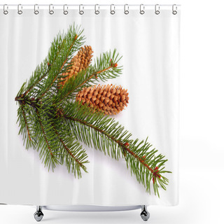 Personality  Spruce Twig Isolated Shower Curtains