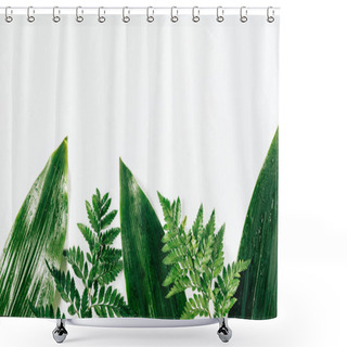 Personality  Flat Lay With Assorted Wet Green Foliage On White Backdrop Shower Curtains