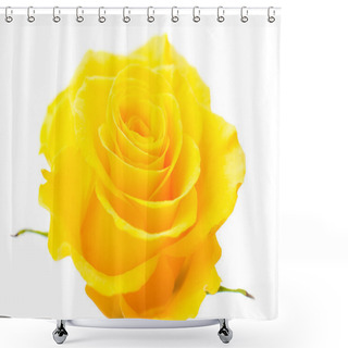 Personality  Yellow Rose Shower Curtains