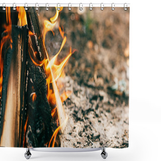 Personality  Close Up Of Burning Timber Bonfire In Forest Shower Curtains