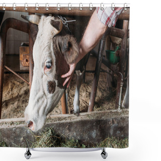 Personality  Farmer Feeding Cow Shower Curtains