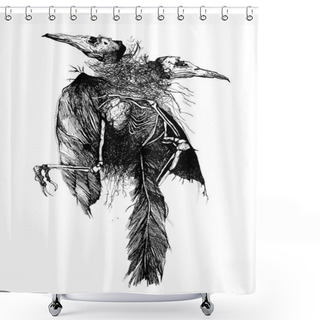 Personality  Outline Ink Print Of Bird Corpses  Shower Curtains