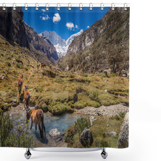 Personality  River And Huascaran Mountain Massif In Cordillera Blanca, Snowcapped Andes, Ancash, Peru, South America Shower Curtains