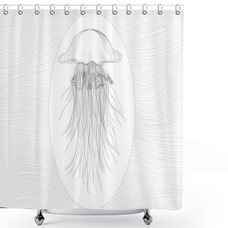 Personality  Vector  Delicate Oceanic Jellyfish Shower Curtains