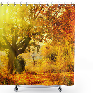 Personality  Autumn Forest With Sun Beam Shower Curtains