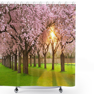 Personality  Fascinating Springtime Scenery Shower Curtains
