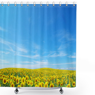 Personality  Sunflowers Shower Curtains