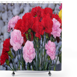 Personality  Garden Carnation Pink And Red Flowers Close-up Shower Curtains