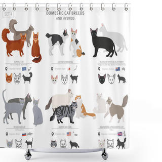Personality  Domestic Cat Breeds And Hybrids Collection Isolated On White. Fl Shower Curtains