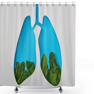 Personality  Top View Of Lungs Model With Leaves Isolated On White Shower Curtains