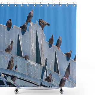 Personality  Pigeon's Crap Shower Curtains