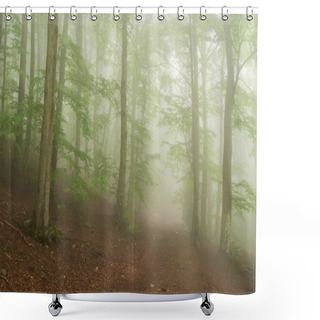 Personality  Mystical Forest: A Serene Ecstasy Of Mystery And Enchantment Shower Curtains