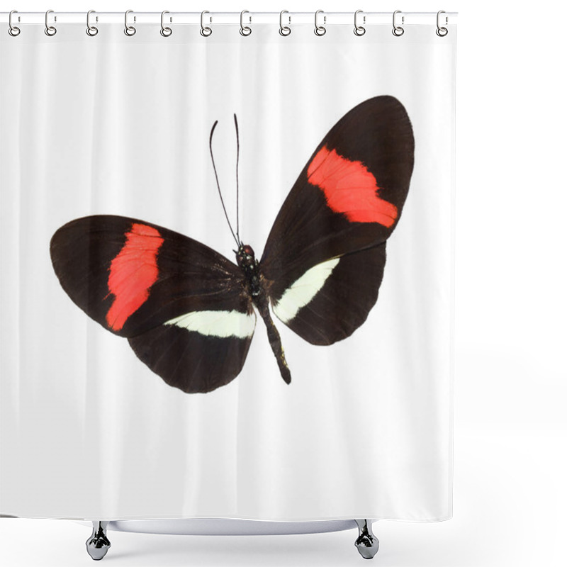 Personality  Butterfly Isolated On White Shower Curtains