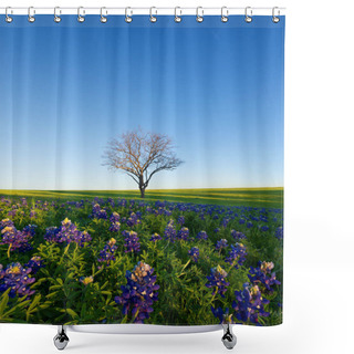 Personality  A Blue Bonnet Field, Ennis, Texas Shower Curtains