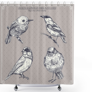 Personality  Set Of Birds. Vector Illustration Shower Curtains