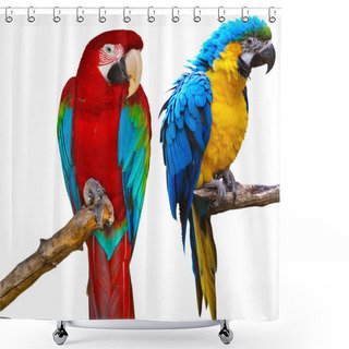 Personality  Ara Parrots Shower Curtains