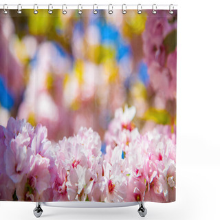 Personality  Selective Focus Of Beautiful Cherry Tree Blossom Backdrop Shower Curtains