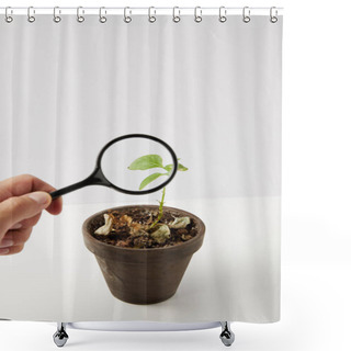 Personality  Close-up View Of Person Holding Magnifying Glass And Green Plant In Pot On Grey  Shower Curtains